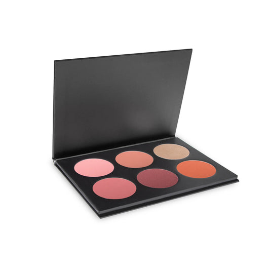 Cheek / Blush Palette #1