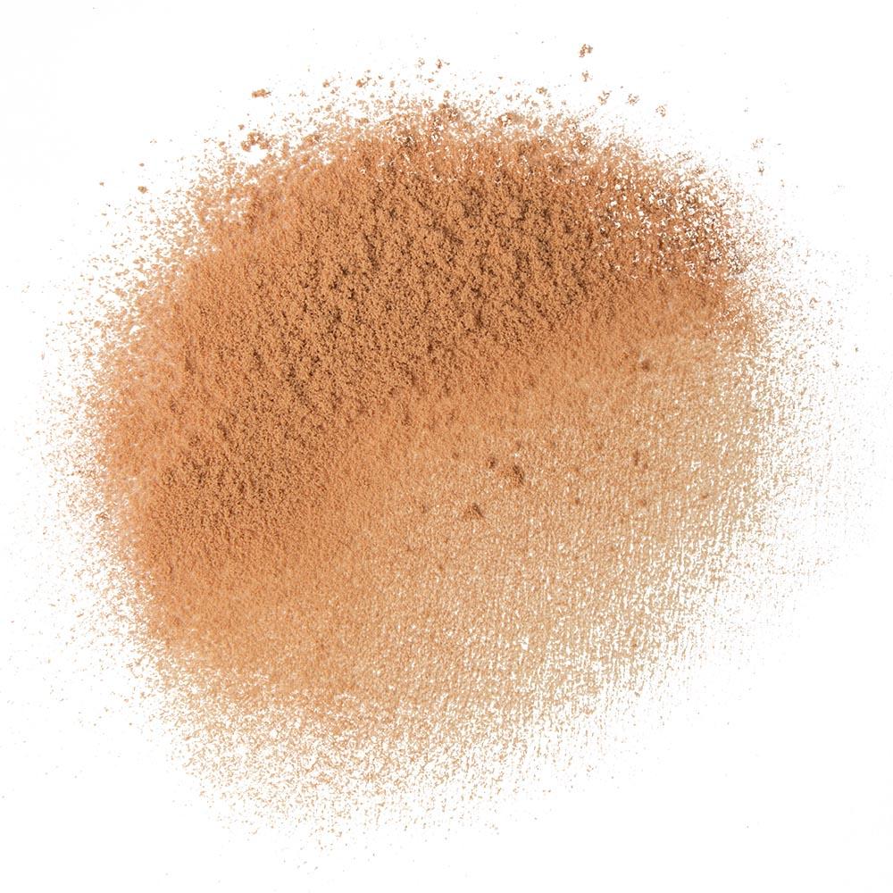 Conture Powder Contour & Highlight Powder – MUD Make-up Designory